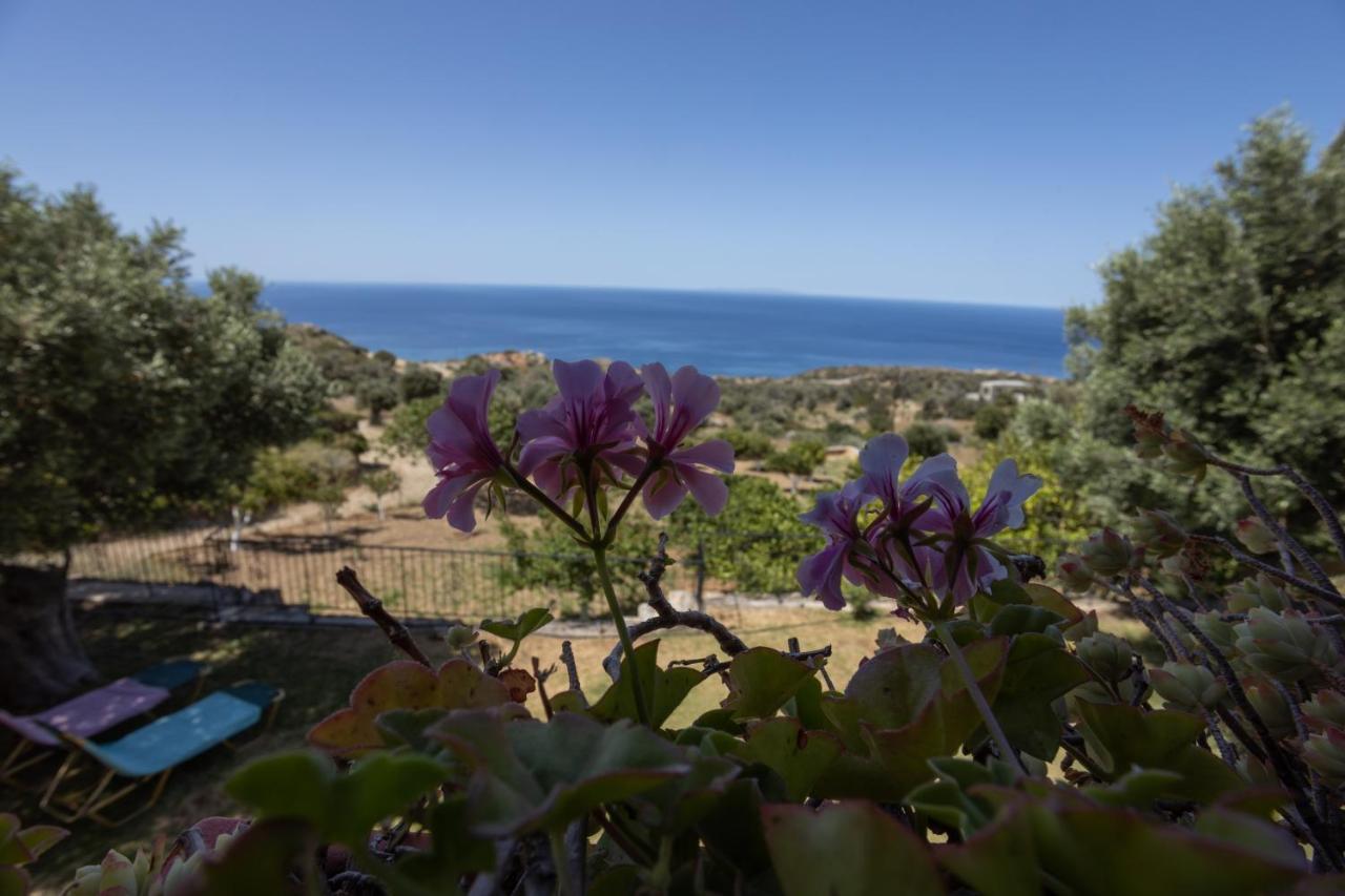 Manolis' House Villa Agia Paraskevi  Bagian luar foto