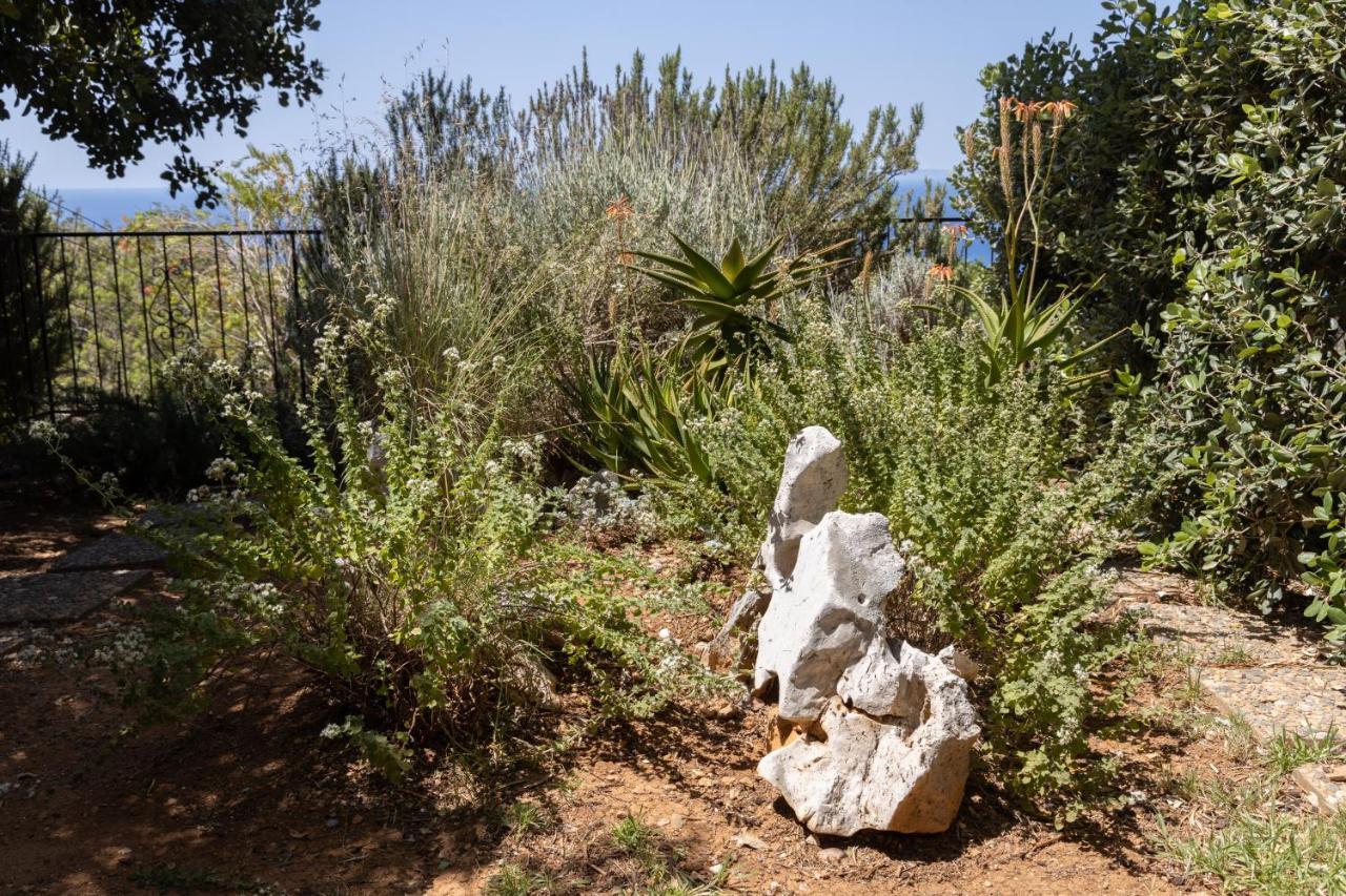 Manolis' House Villa Agia Paraskevi  Bagian luar foto